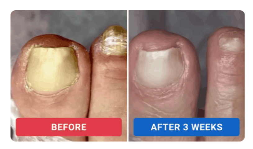 orivellecustomer review Bailey D.